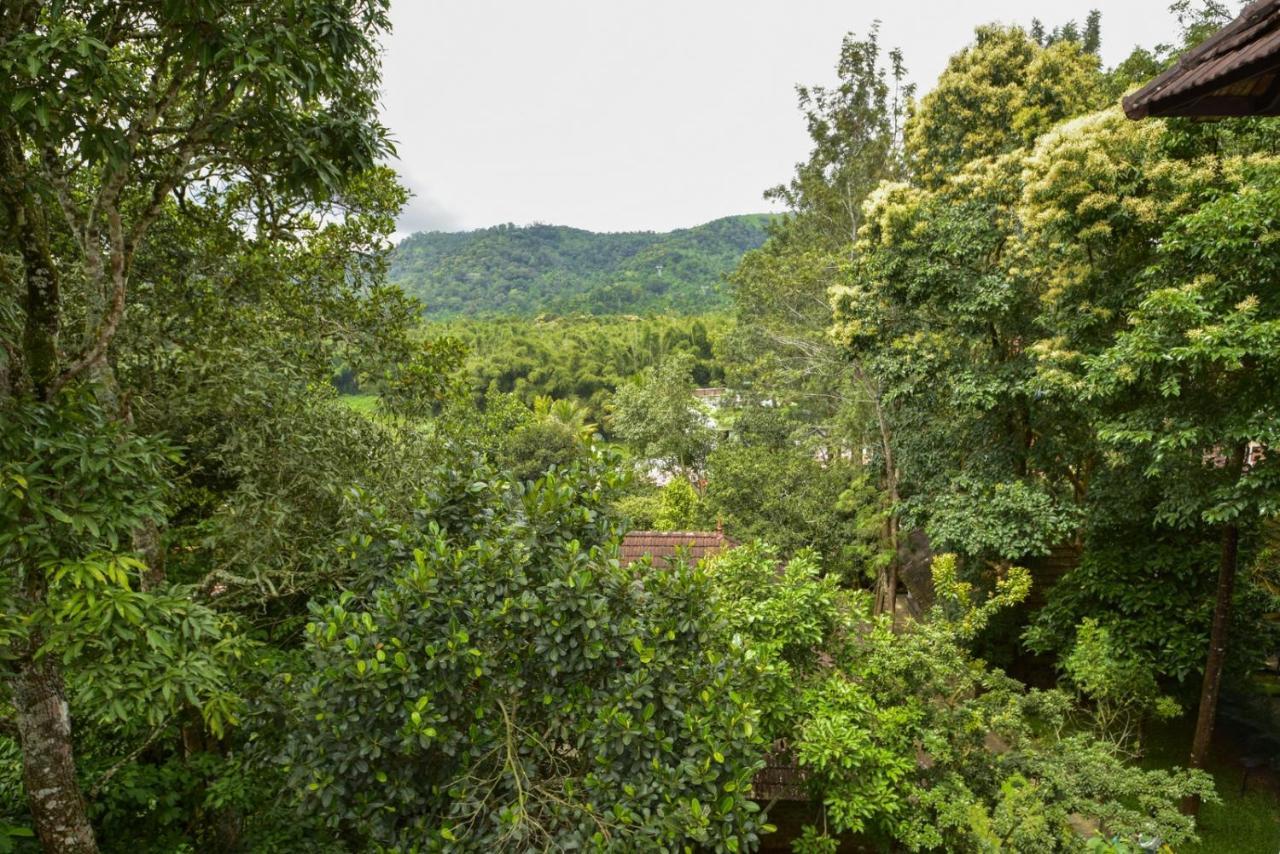 Hotel Treetop Thekkady Esterno foto